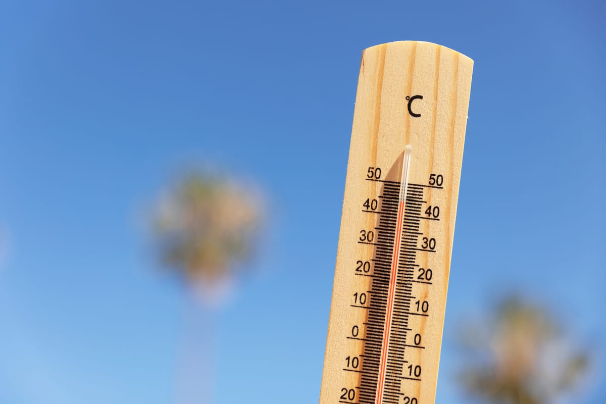 ¿Cómo combatir el calor en casa? 14 consejos para poner en práctica